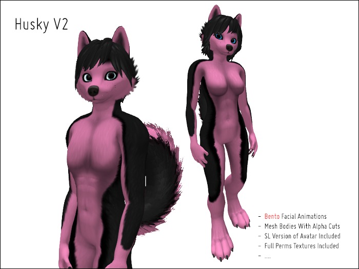 Husky Black Soft Pink