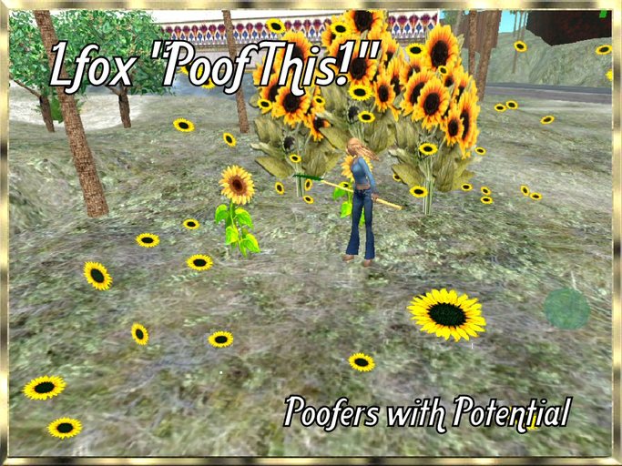lfox Poof This Sunflower Poofer (boxed)