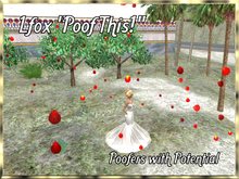 lfox Poof This Bright Red Rose Petal Poofer (boxed)