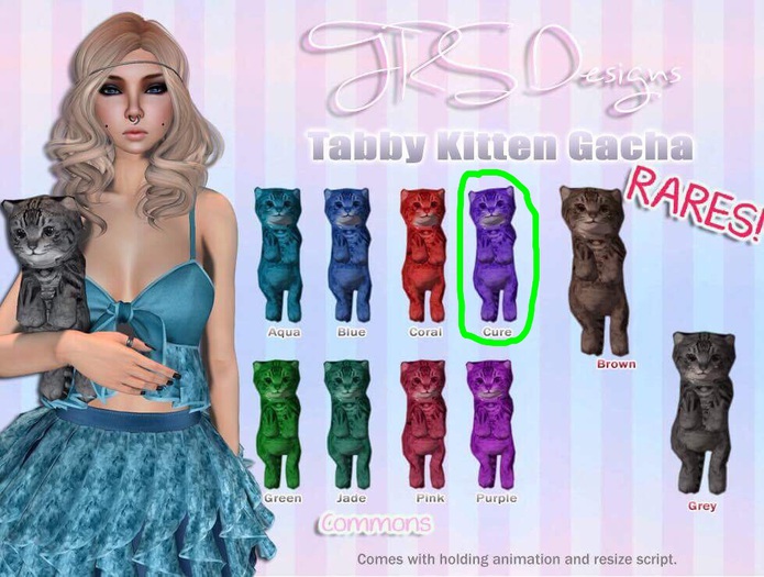 Tabby Kitten Common Cure