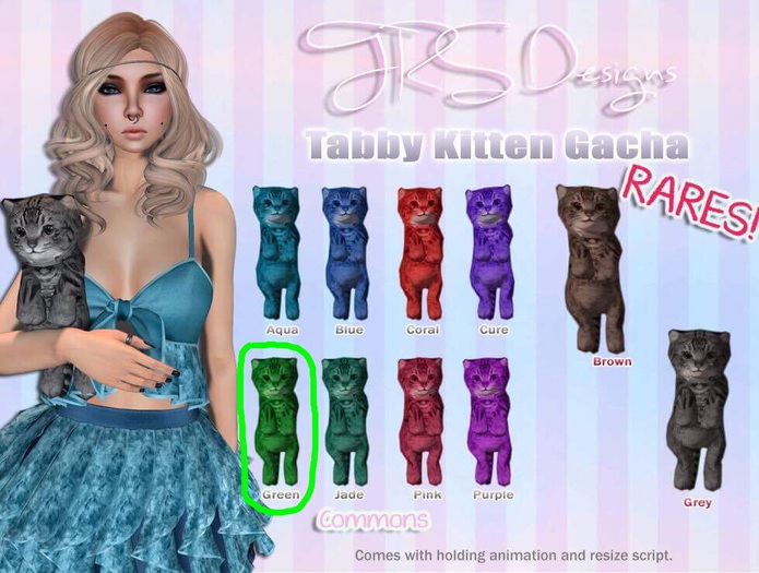 Tabby Kitten Common Green