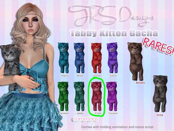 Tabby Kitten Common Pink