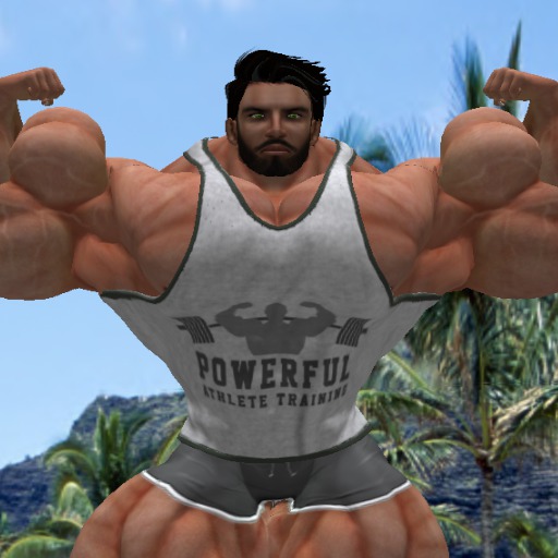 DEV ALEX  Gray Tank Top POWERFUL ATHLETE TRAINING