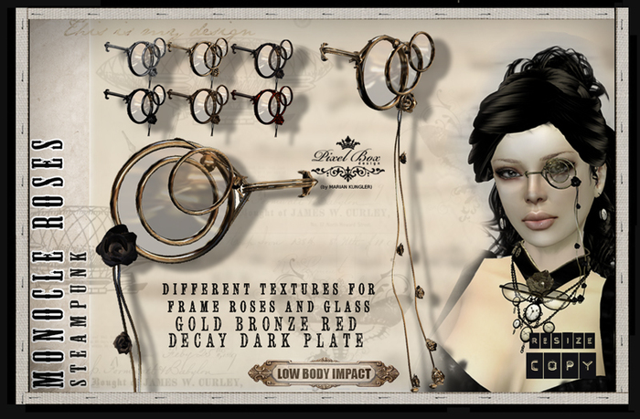 PIXEL BOX - Steampunk Monocle Roses (box)