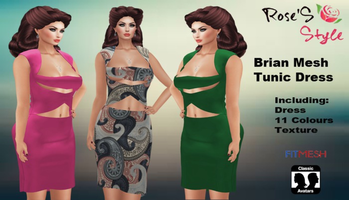 ROSE'S STYLE Brian Tunic Dress (Gift)