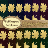*Wallflowers* Golden Maple