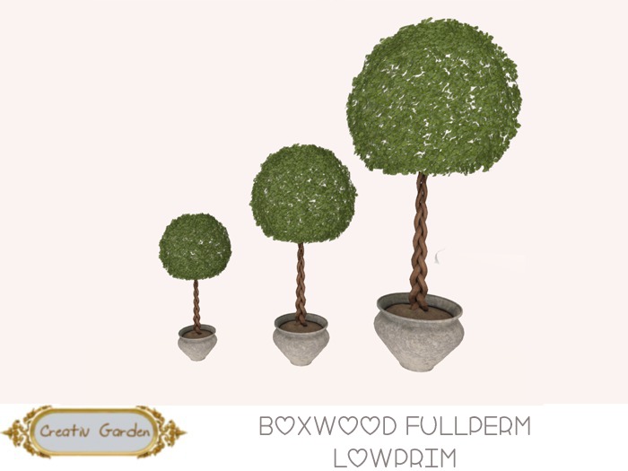 Creativ Garden Boxwood Fullperm