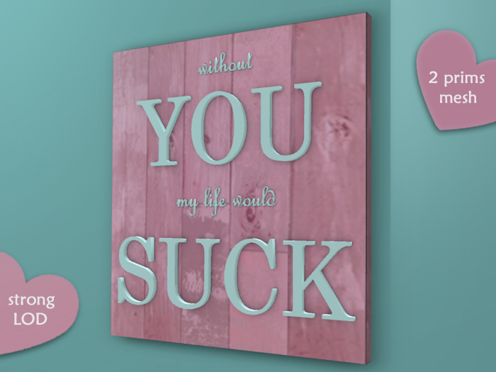 [Townies] You Suck Sign Shabby Chic Pink