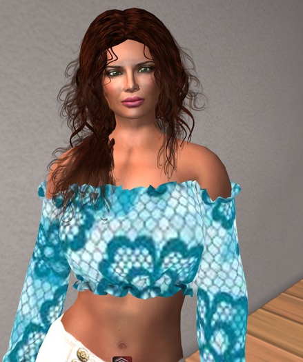 Mesh Blue Lace Cropped Top