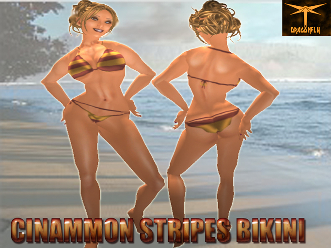 Cinammon Stripes Bikini DragonFly Designs
