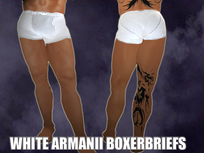 White Armanii BoxerBriefs DragonFly Designs