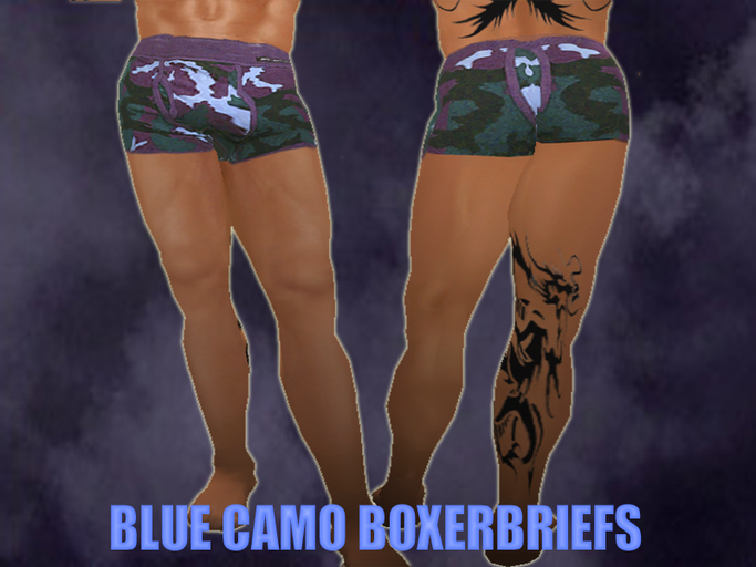 Blue Camo Boxerbriefs DragonFly Designs