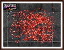 Valentines - Petals Rug