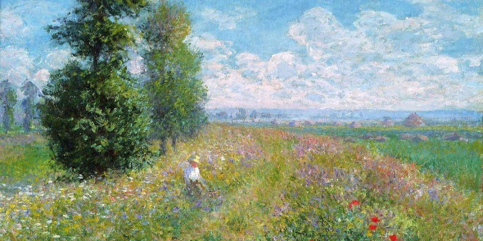 Monet Wildflowers On Horizontal Canvas