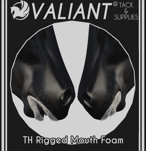 VALIANT® - TH Mouth Foam