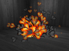 Heartshapedbombpicturebroken