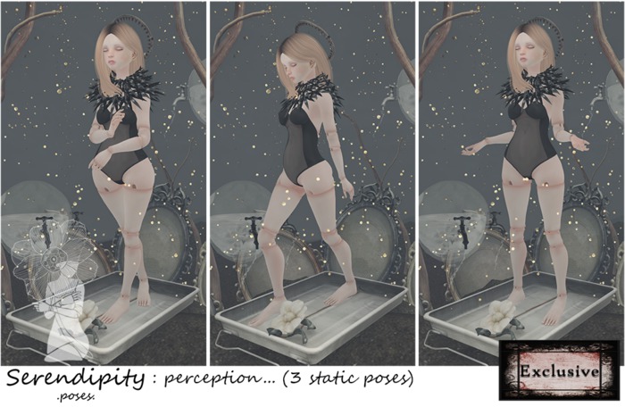 Serendipity: perception...