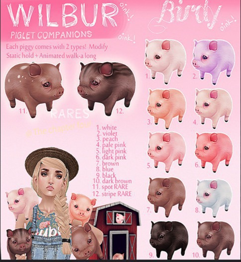 Birdy - Wilbur - Violet [box]
