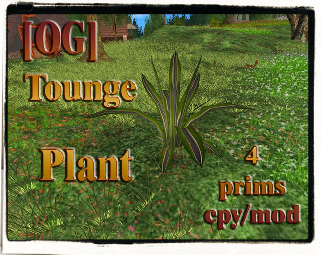 [OG]Tounge plant