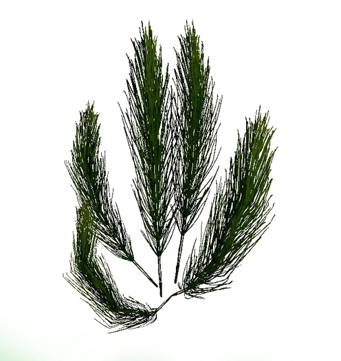 Mesh Tropical Plant 9