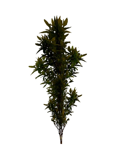 Mesh Tropical Plant 10