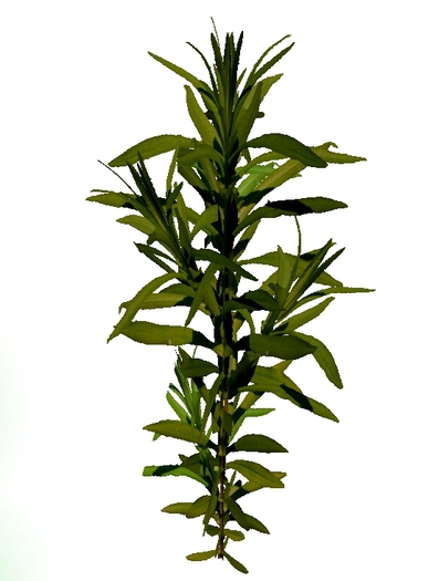 Mesh Tropical Plant 11