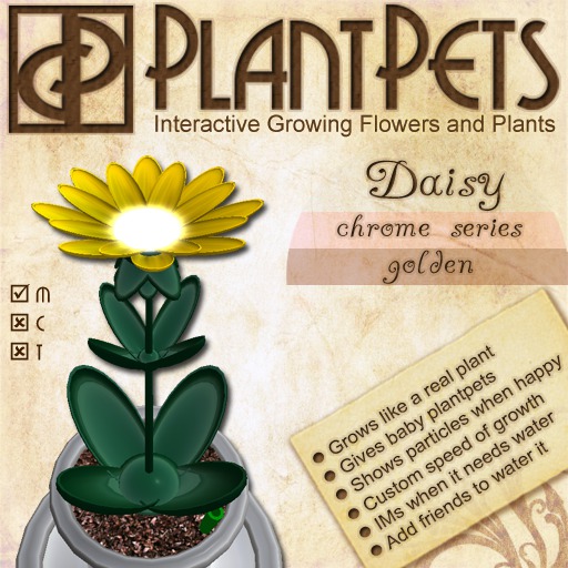 PlantPet Seed [Daisy *Golden*]
