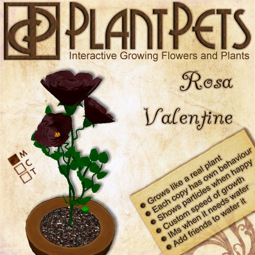 PlantPet Seed [Rosa *Valentine*]