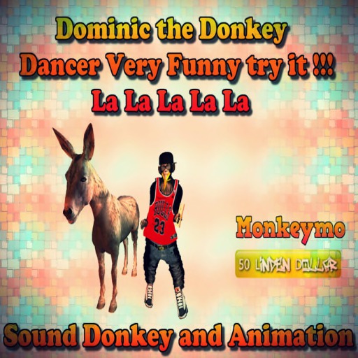 Dominic the Donkey  Dancer  - Monkeymo