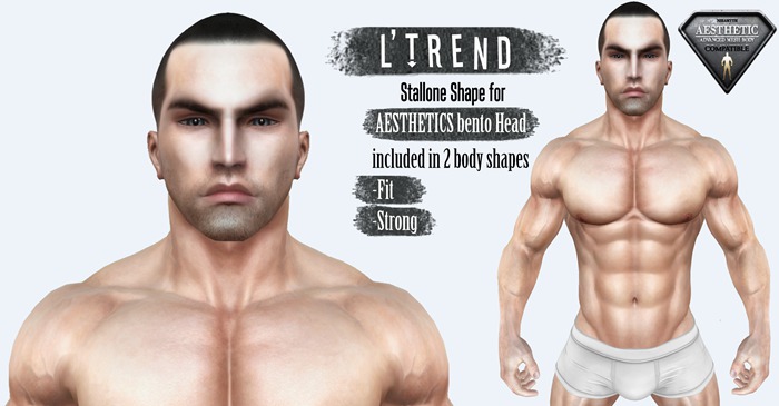 L'TREND  - Shape stallone ( AESTHETICS ) BENTO
