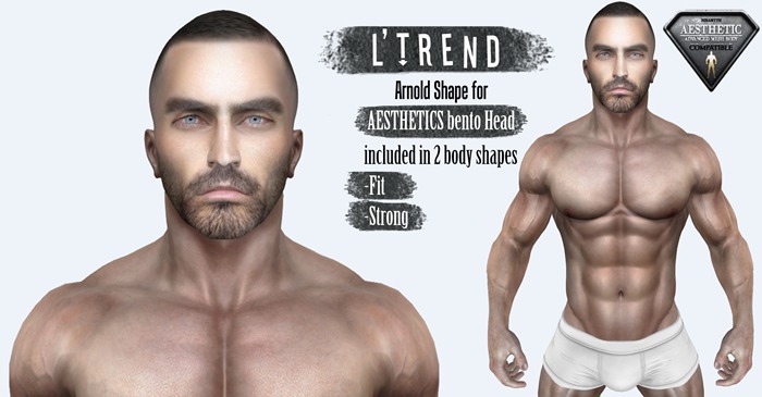 L'TREND - Shape Arnold ( AESTHETICS )