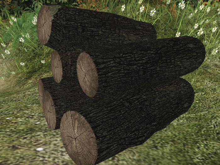 Wood Pile