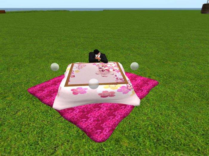 Pink Kotatsu
