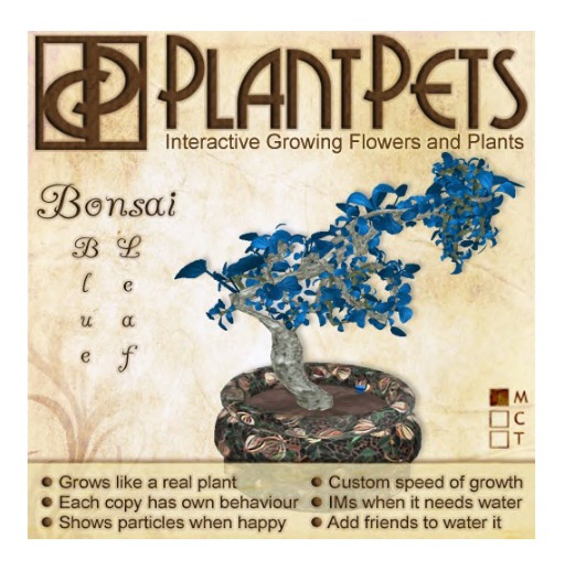 PlantPet Seed [Bonsai *Blue Leaf*] Box, Open Me