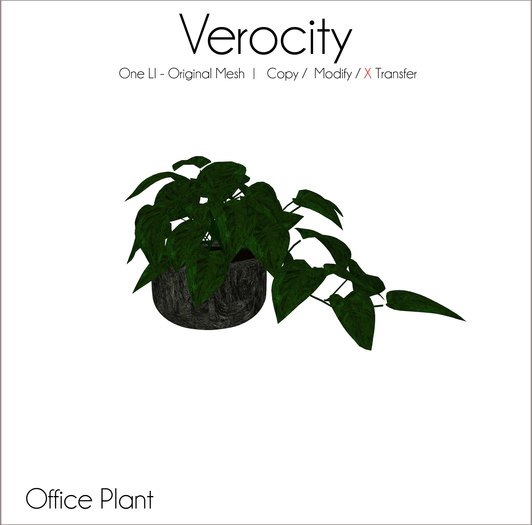 Verocity - Office Plant