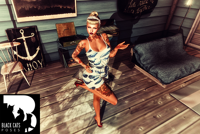 Black Cats poses - Pin up 1