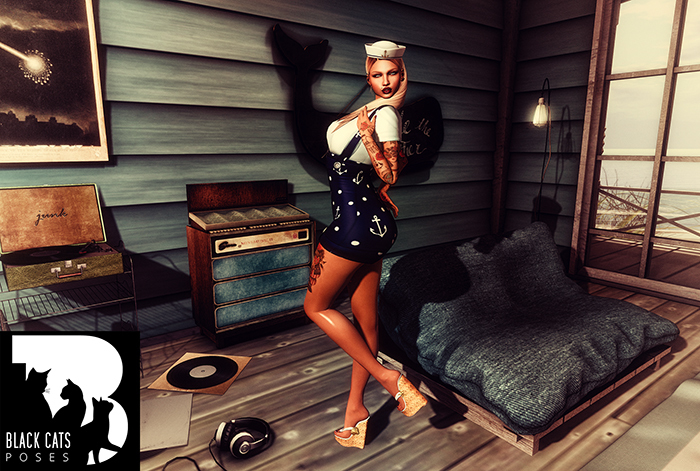 Black Cats poses - Pin up 15