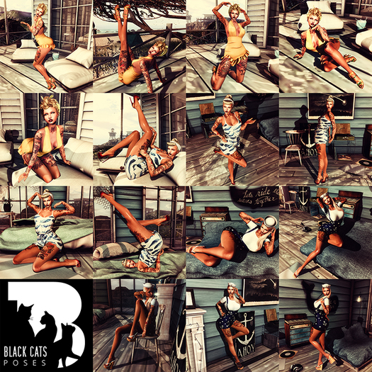 Black Cats poses - Pin up 1