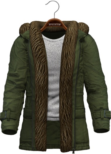 !APHORISM! Winter Parka Men - Green