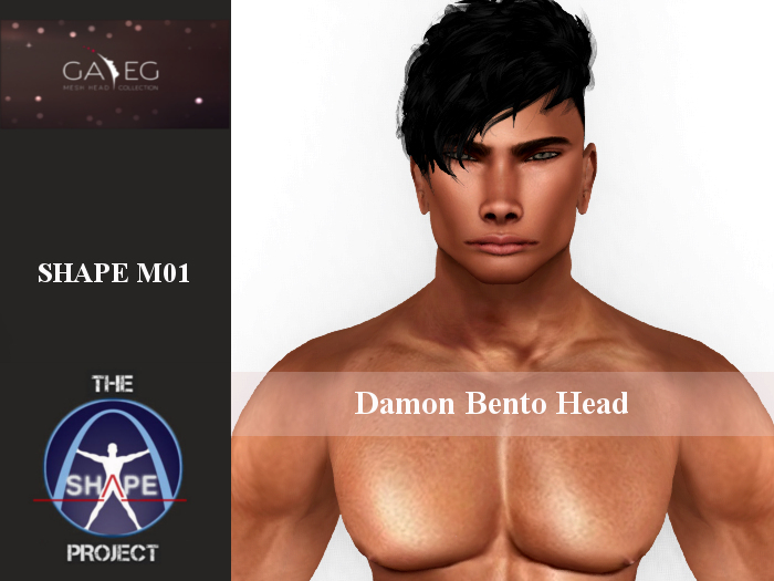 [TSP] GA.EG (Damon bento) Shape M01
