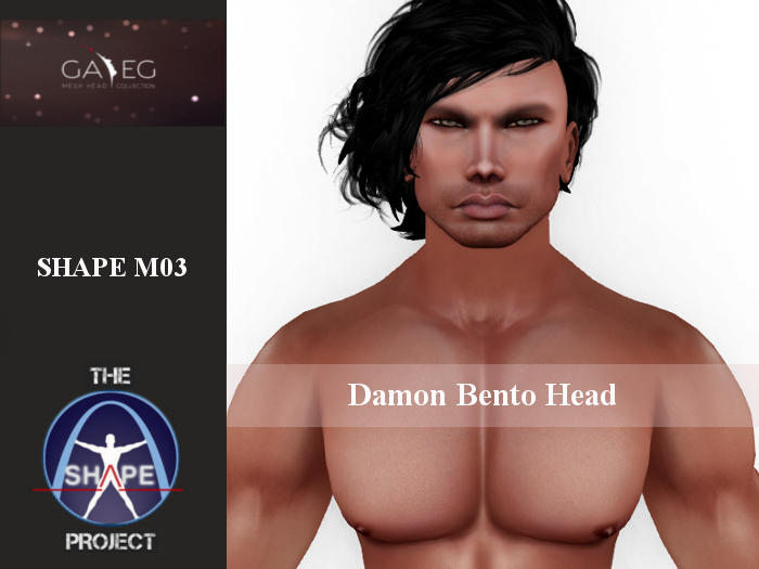[TSP] GA.EG (Damon bento) Shape M03