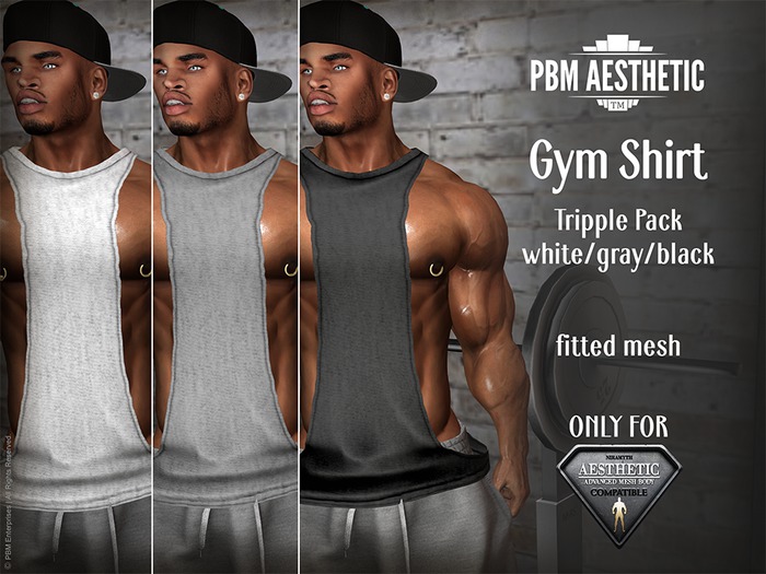 PBM Aesthetic [Gym Shirt] Plains bl/gr/wh