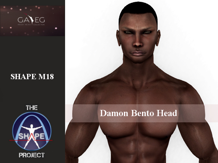 [TSP] GA.EG (Damon bento) Shape M18