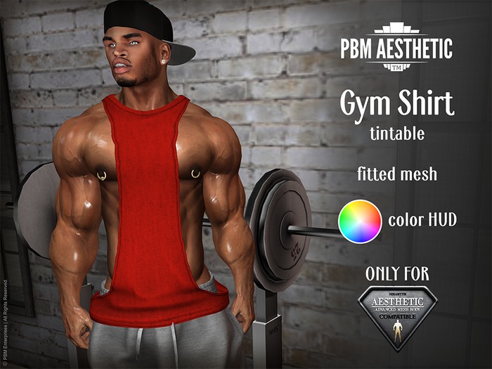 PBM Aesthetic [Gym Shirt] Tintable with color HUD - Niramyth Aesthetics only