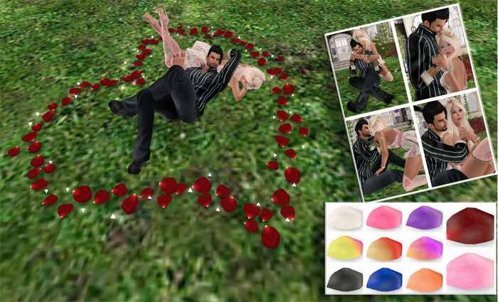 {ACD} Petals Of Love PG