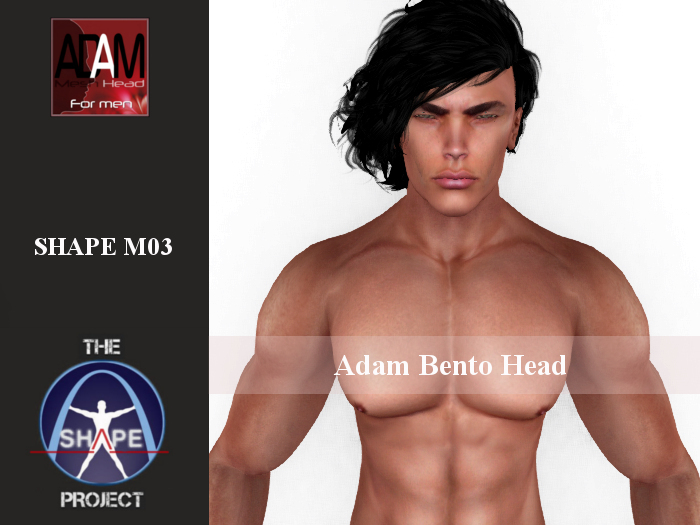 [TSP] ABSOLUT CREATION (Adam bento) Shape M03