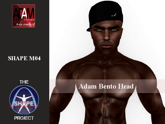 [TSP] ABSOLUT CREATION (Adam bento) Shape M04