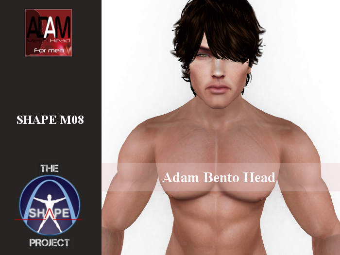 [TSP] ABSOLUT CREATION (Adam bento) Shape M08
