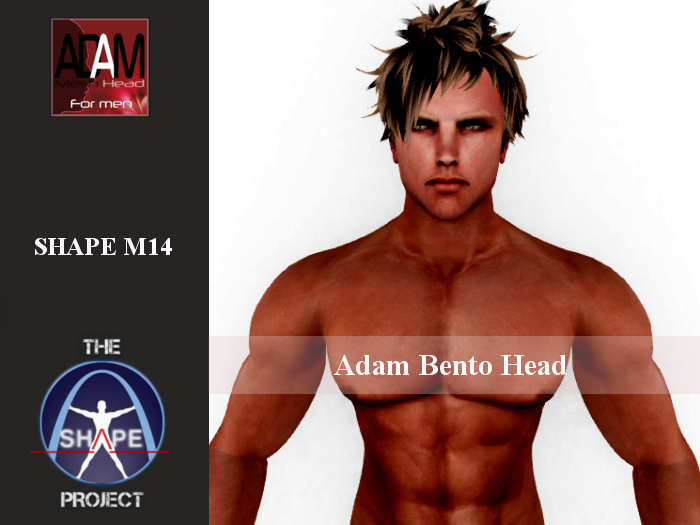 [TSP] ABSOLUT CREATION (Adam bento) Shape M14