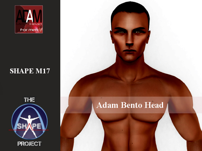 [TSP] ABSOLUT CREATION (Adam bento) Shape M17